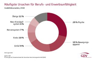 GDV-Ursachen-BU-2020 cpr 740x486